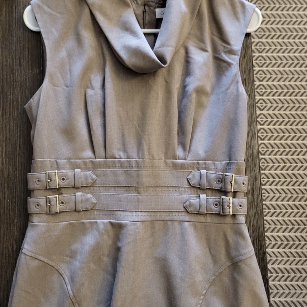 Calvin Klein Tan Businesses Dress